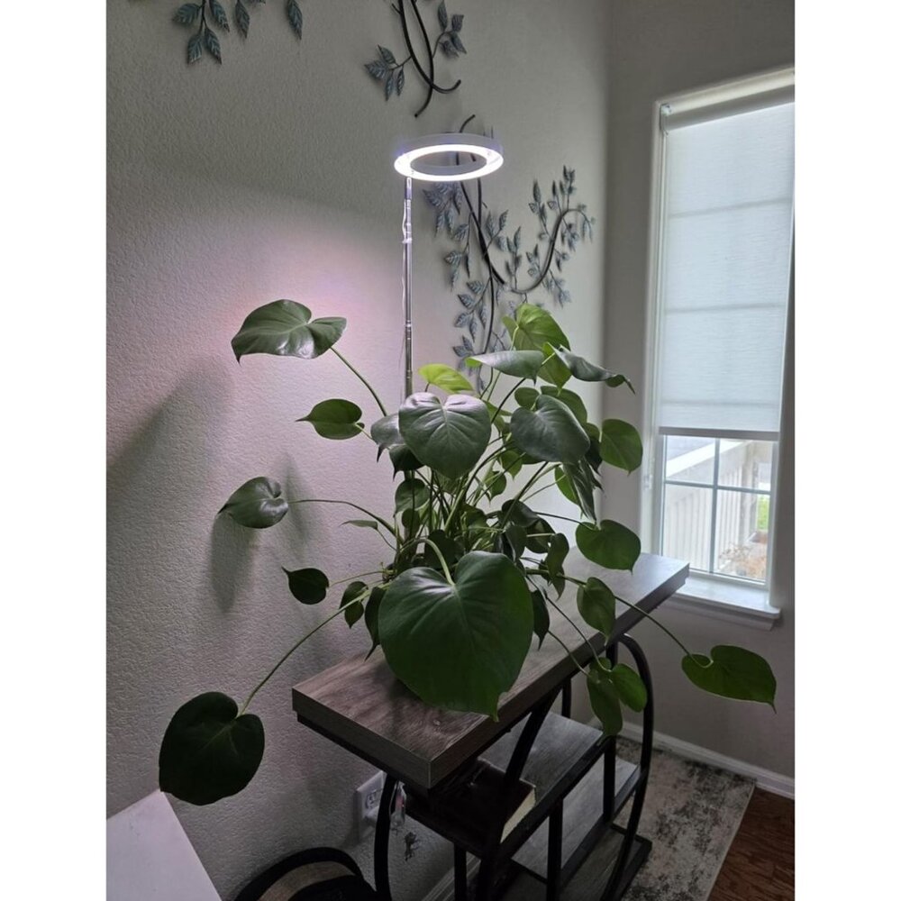 Tall Adjustable LED Floor Lamp With Built-In Timer Full Spectrum Standing Accent